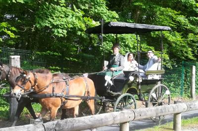 Miniature Mariage En Calèche - Nonette-cuirs #2 Photo Mariage En Calèche - Nonette-cuirs #6