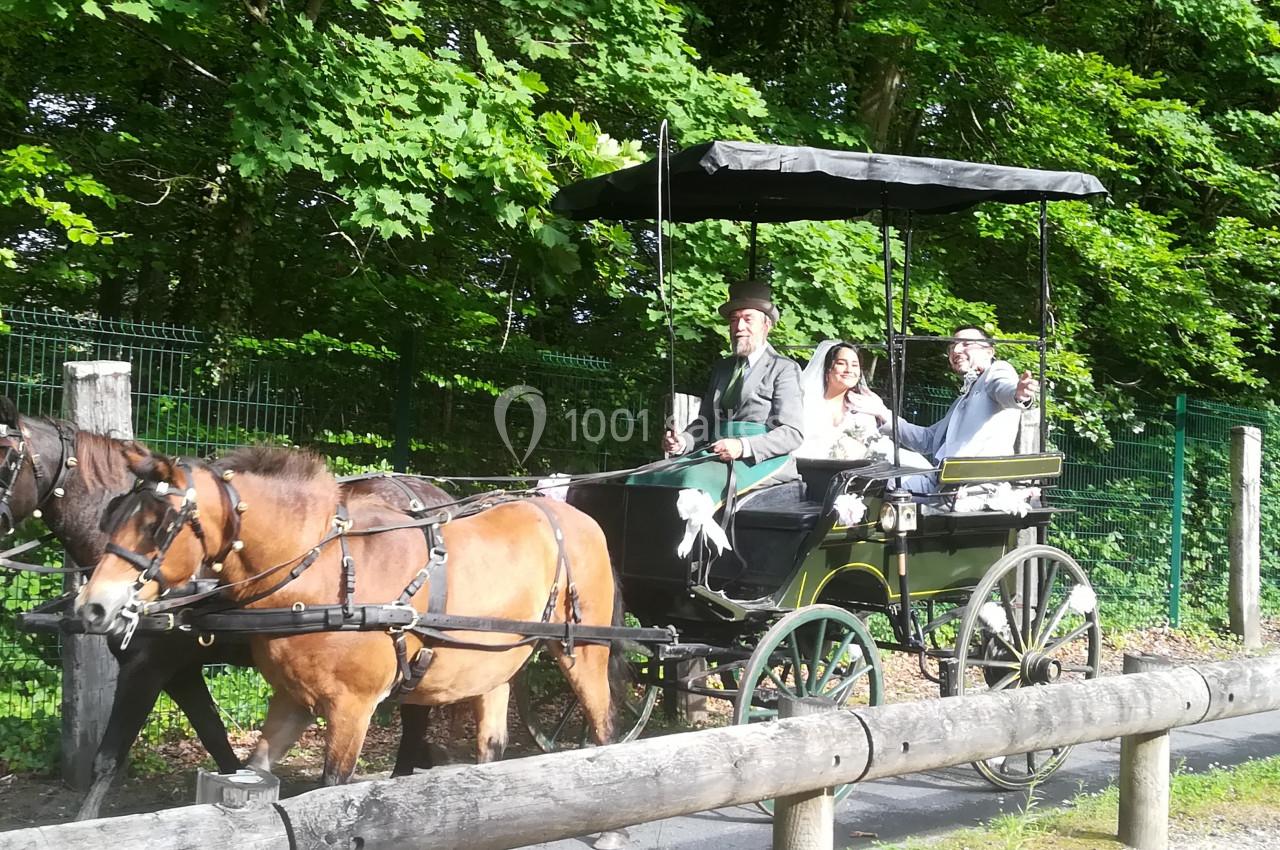 Mariage En Calèche - Nonette-cuirs - galerie - photo 2