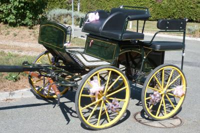 Miniature Mariage En Calèche - Nonette-cuirs #3 Photo Mariage En Calèche - Nonette-cuirs #6