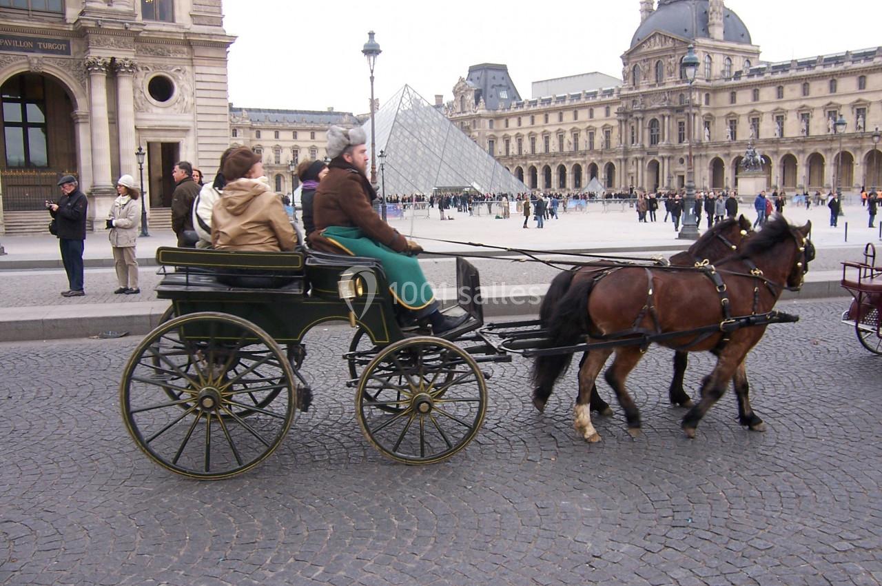 Photo Mariage En Calèche - Nonette-cuirs #5