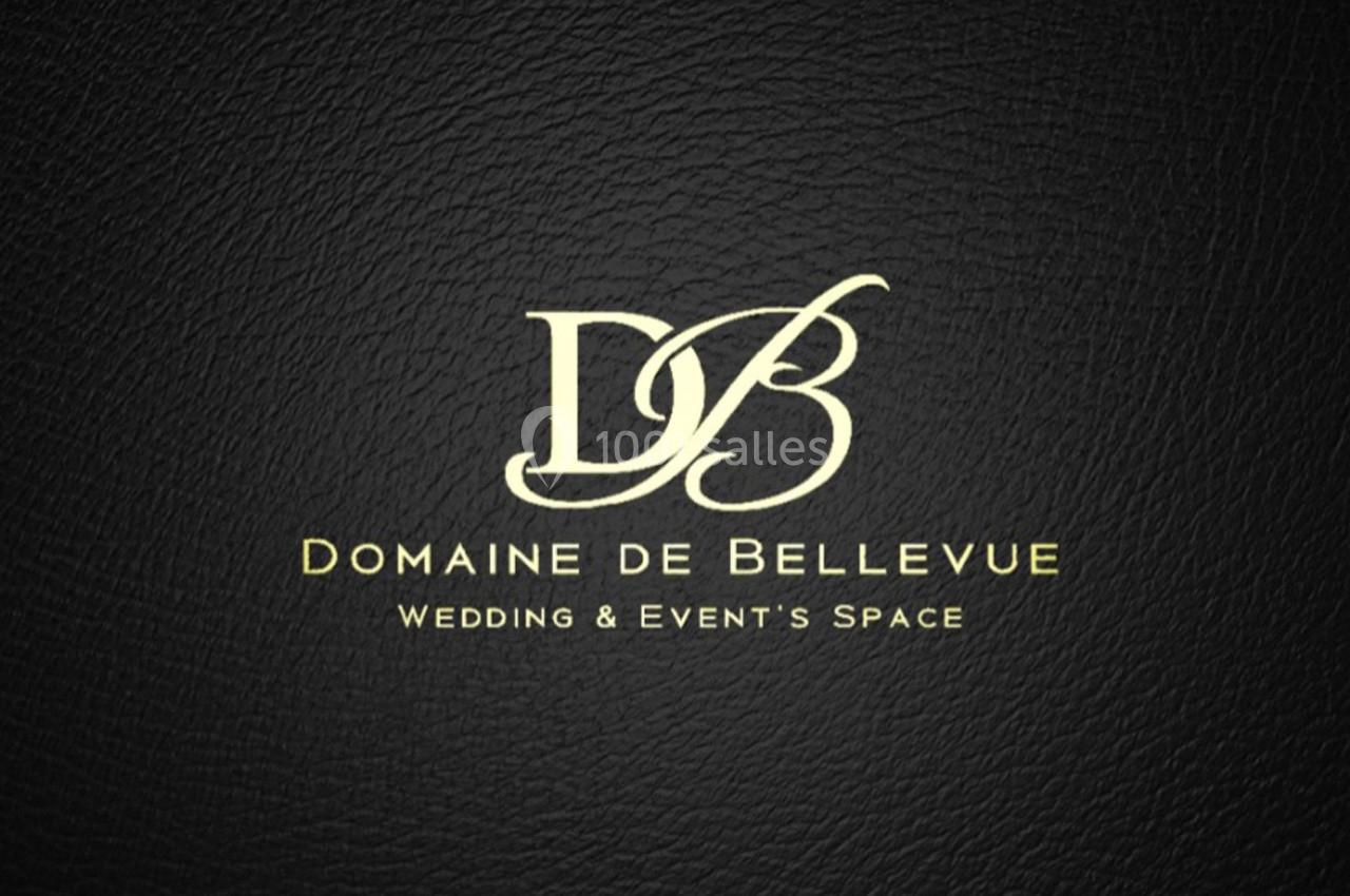 Location salle Anse (Rhône) - Domaine de Bellevue #1