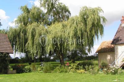 Miniature Location salle Aunou-sur-Orne (Orne) - Le Domaine De La Cour #11 Location salle Aunou-sur-Orne (Orne) - Le Domaine De La Cour #23