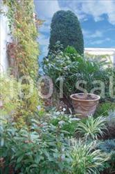 Espace Roosevelt - galerie - photo 11