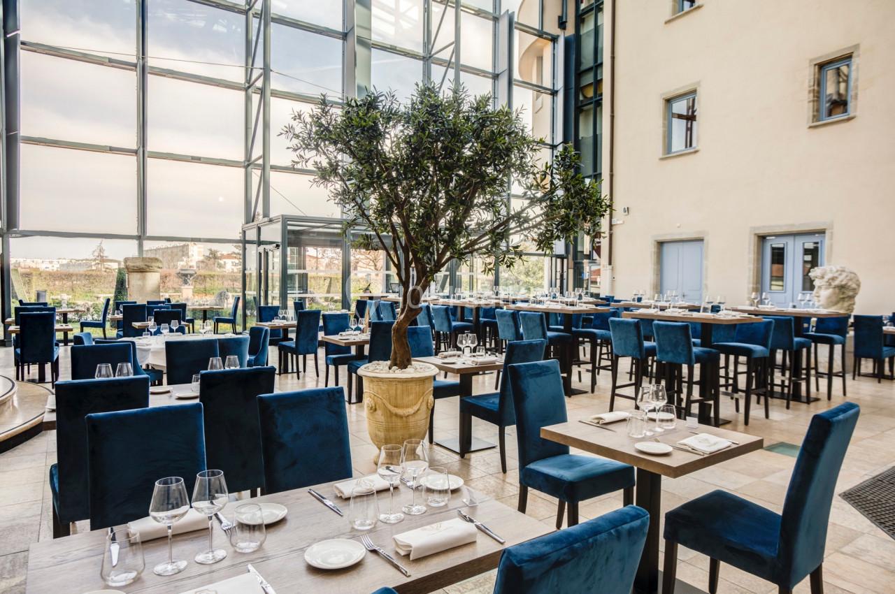 Location salle Saint-Priest (Rhône) - Château de Saint Priest #21 Salle de restaurant lumineuse avec de grandes baies vitrées, des tables dressées et un olivier en pot au centre.