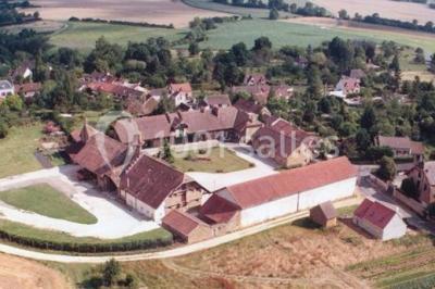 Miniature Location salle Chaumes-en-Brie (Seine-et-Marne) - La Ferme de Forest #18 Un groupe de femmes, dont une en robe blanche, marche sur une pelouse devant un bâtiment en pierre et bois.