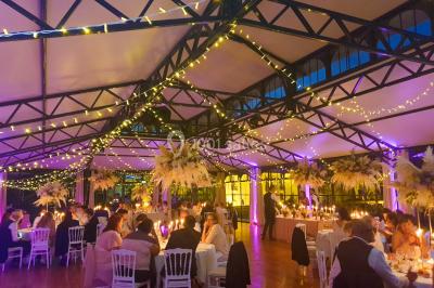 Miniature Location salle Fontains (Seine-et-Marne) - Château de Bourguignon #4 Vue nocturne d'une verrière illuminée par des lumières violettes, entourée d'arbres et d'un jardin.