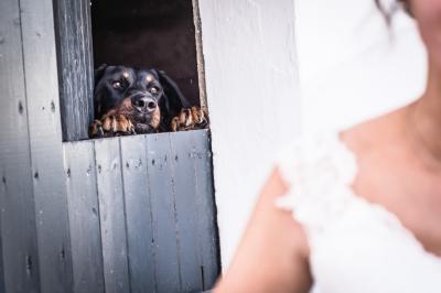 Photo Sabrina K Photographie #50