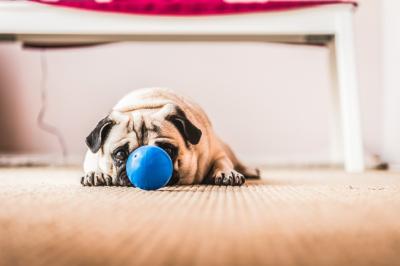 Photo Sabrina K Photographie #50