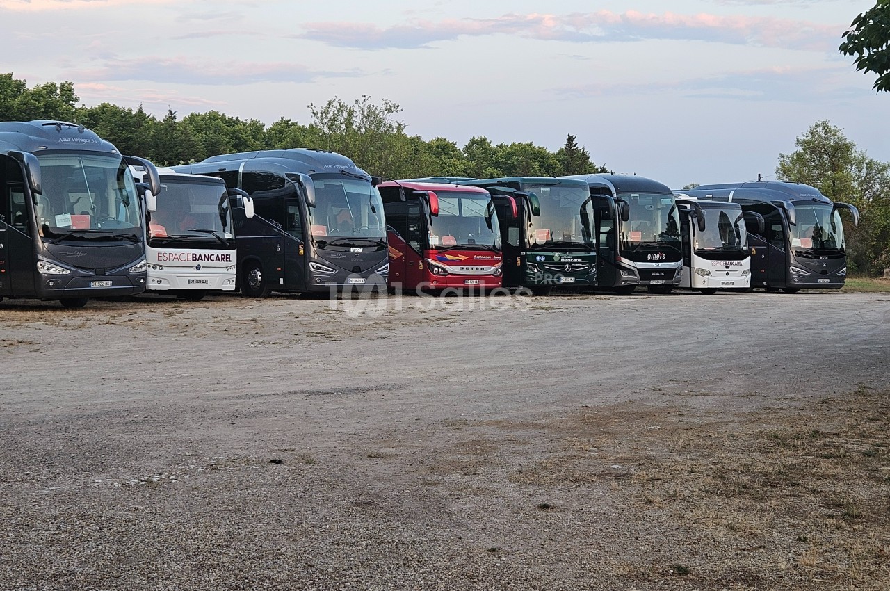 Alignement de plusieurs bus stationnés sur un parking en plein air, entouré de végétation et sous un ciel dégagé.
