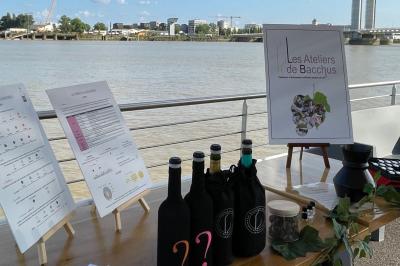 Photo Les Ateliers De Bacchus #18