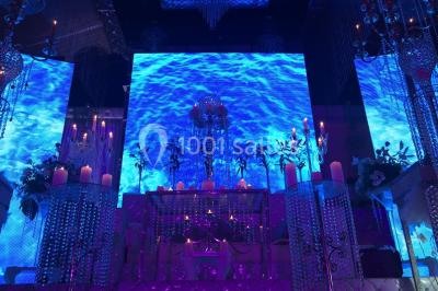 Salon Prestige Organza - photo 4