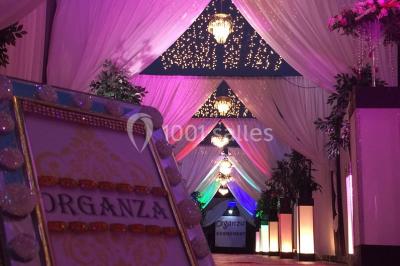 Salon Prestige Organza - photo 2