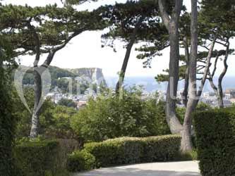 Domaine Saint Clair Le Donjon - galerie - photo 11