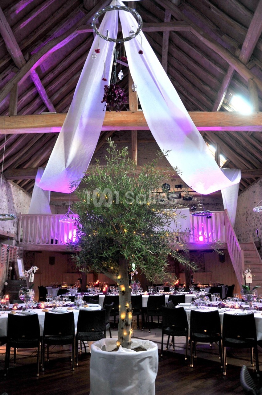 Salle de réception décorée avec un olivier central illuminé, des drapés blancs suspendus et des tables dressées.