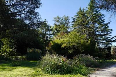 Location salle Lauris (Vaucluse) - Le Grand Jardin d'Elisabeth #36