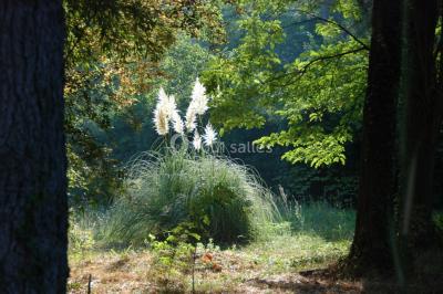 Location salle Lauris (Vaucluse) - Le Grand Jardin d'Elisabeth #36