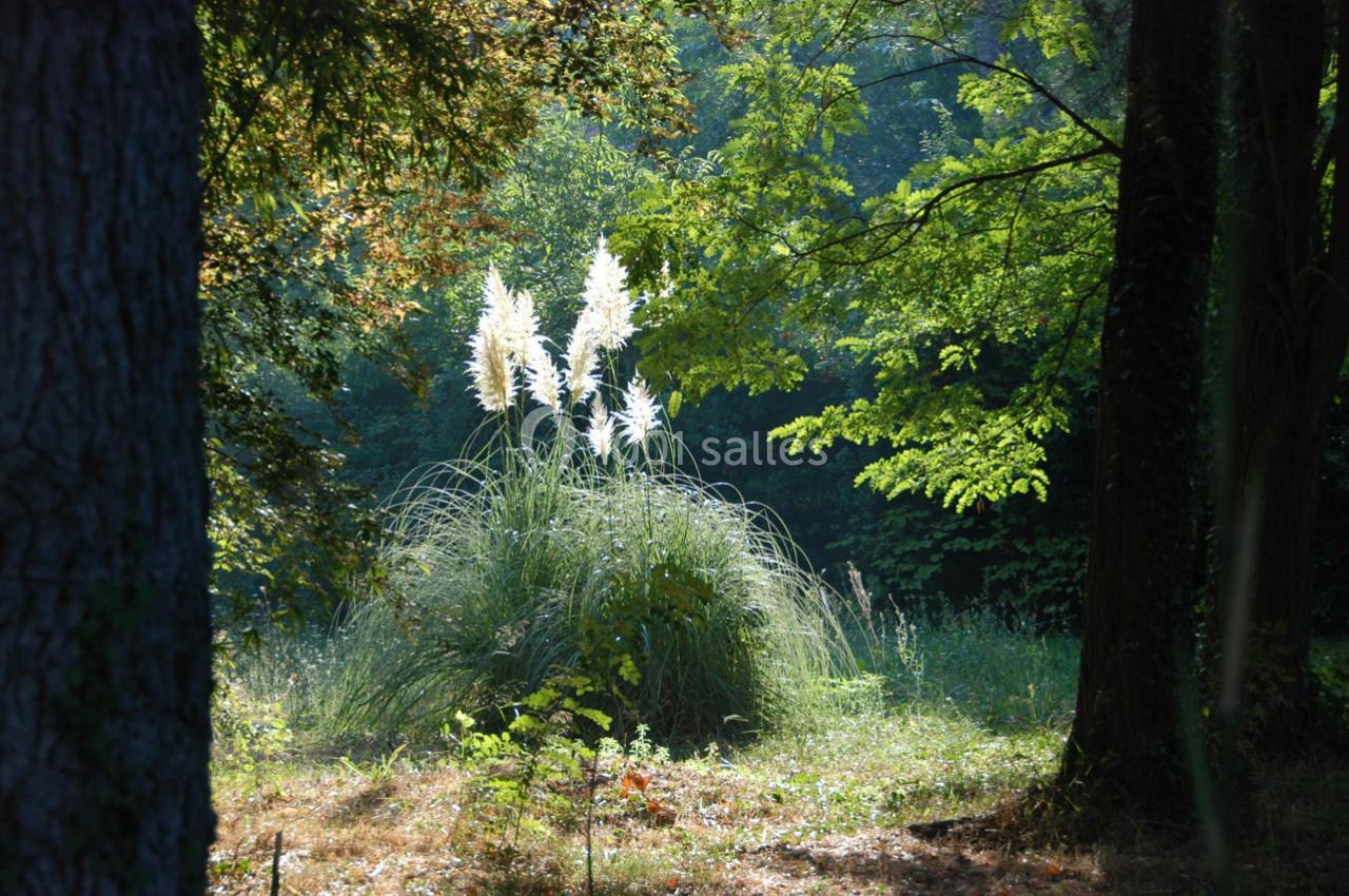 Location salle Lauris (Vaucluse) - Le Grand Jardin d'Elisabeth #35