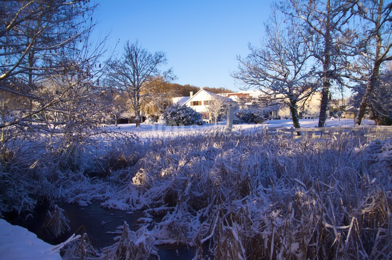 Paysage hivernal avec un ruisseau gelé, des arbres enneigés et des maisons blanches sous un ciel bleu clair.