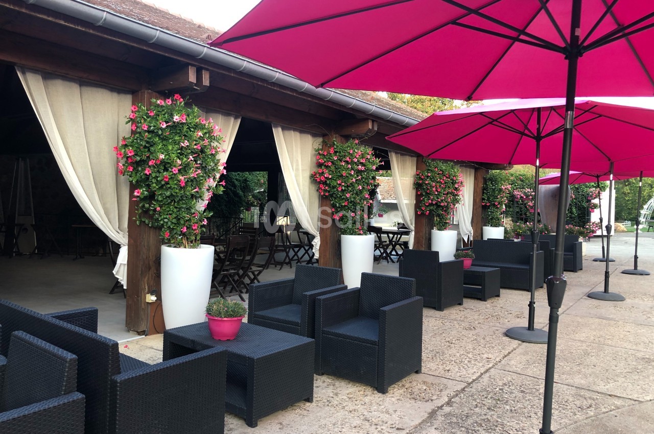 Terrasse aménagée avec des fauteuils en résine noire, des parasols roses et des plantes fleuries en pots blancs.
