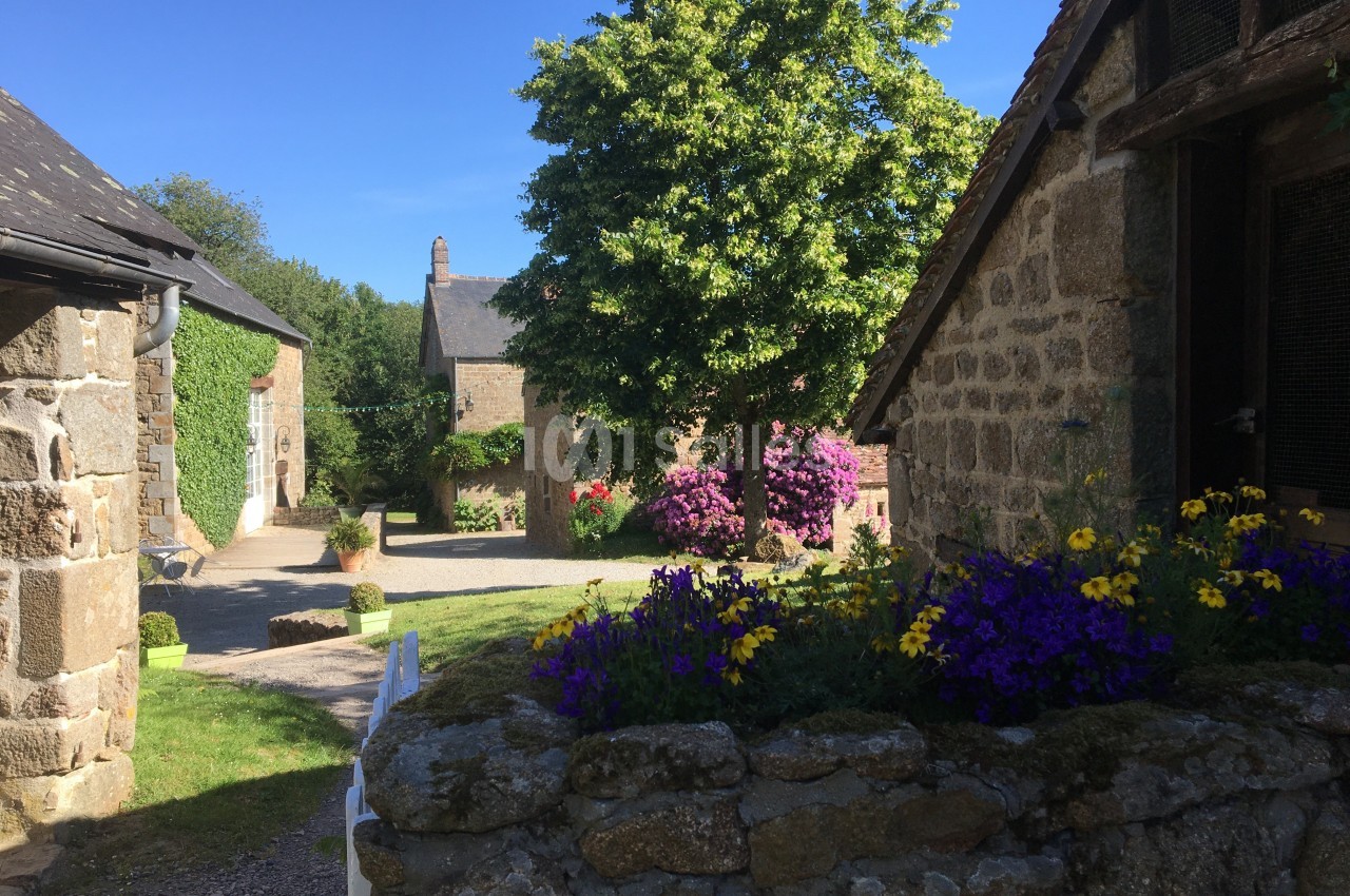 Cour ensoleillée avec maisons en pierre, fleurs colorées en premier plan et un grand arbre au centre.