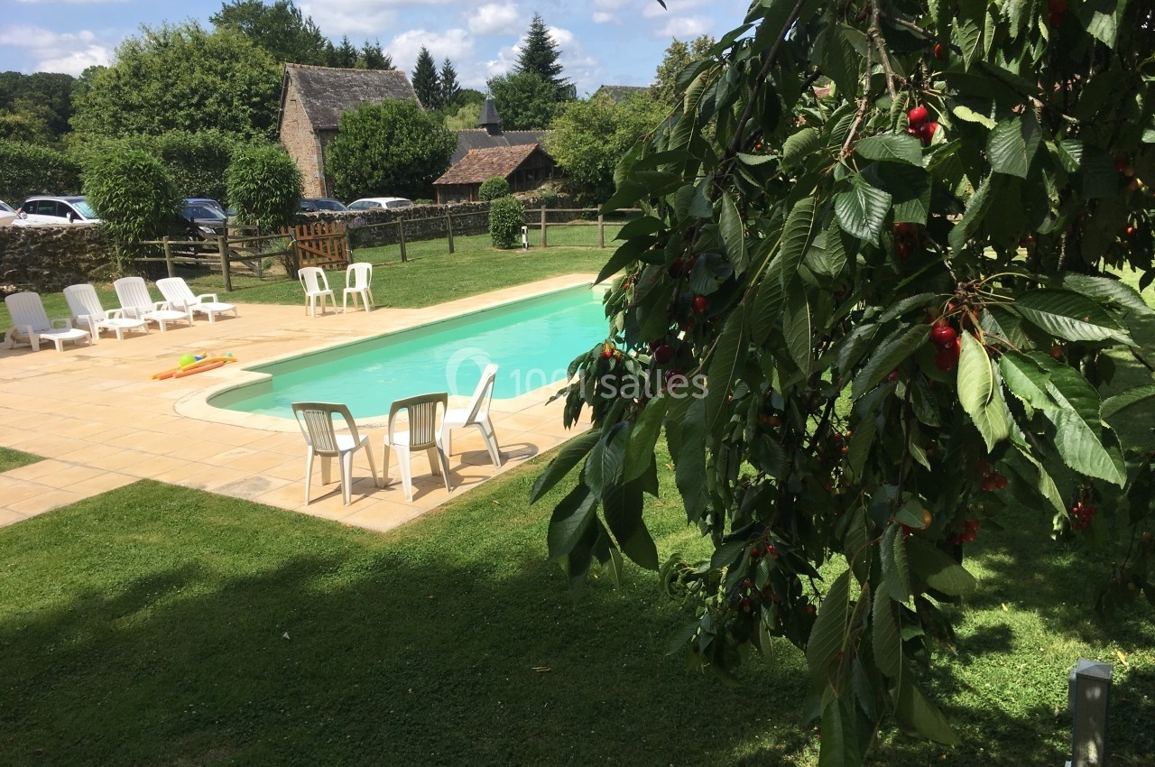 Piscine extérieure entourée de chaises longues et de verdure, avec un cerisier au premier plan.
