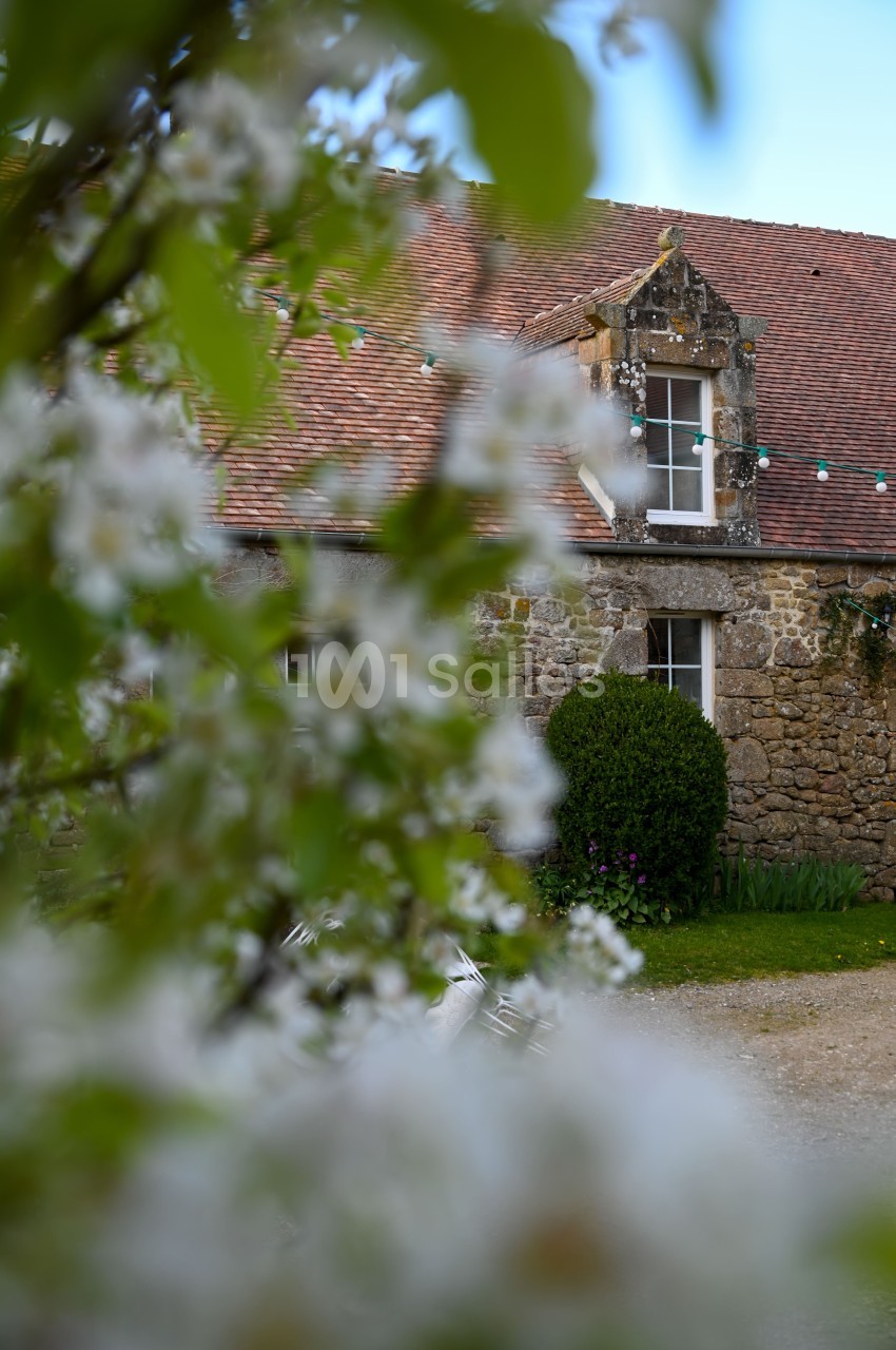 Façade en pierre d'une maison avec toit en tuiles, vue partiellement à travers des branches fleuries au premier plan.