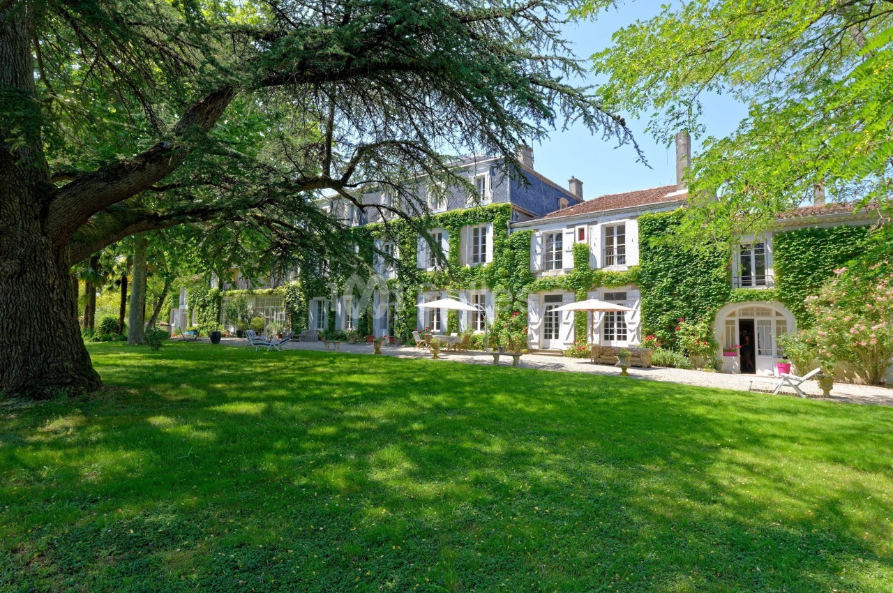 Château Saint Joseph - galerie - photo 2