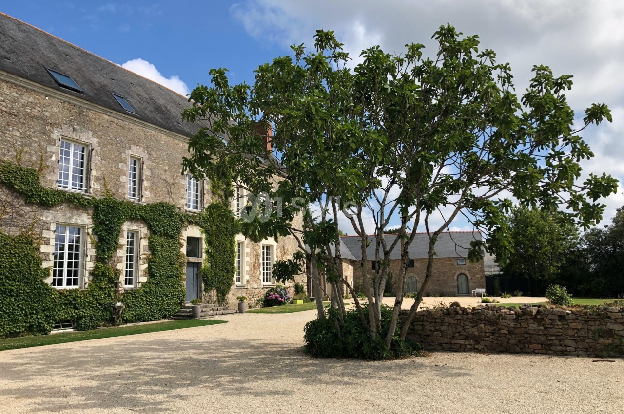 Façade en pierre d'une maison ancienne avec des fenêtres à carreaux, un arbre au premier plan et une cour en gravier.