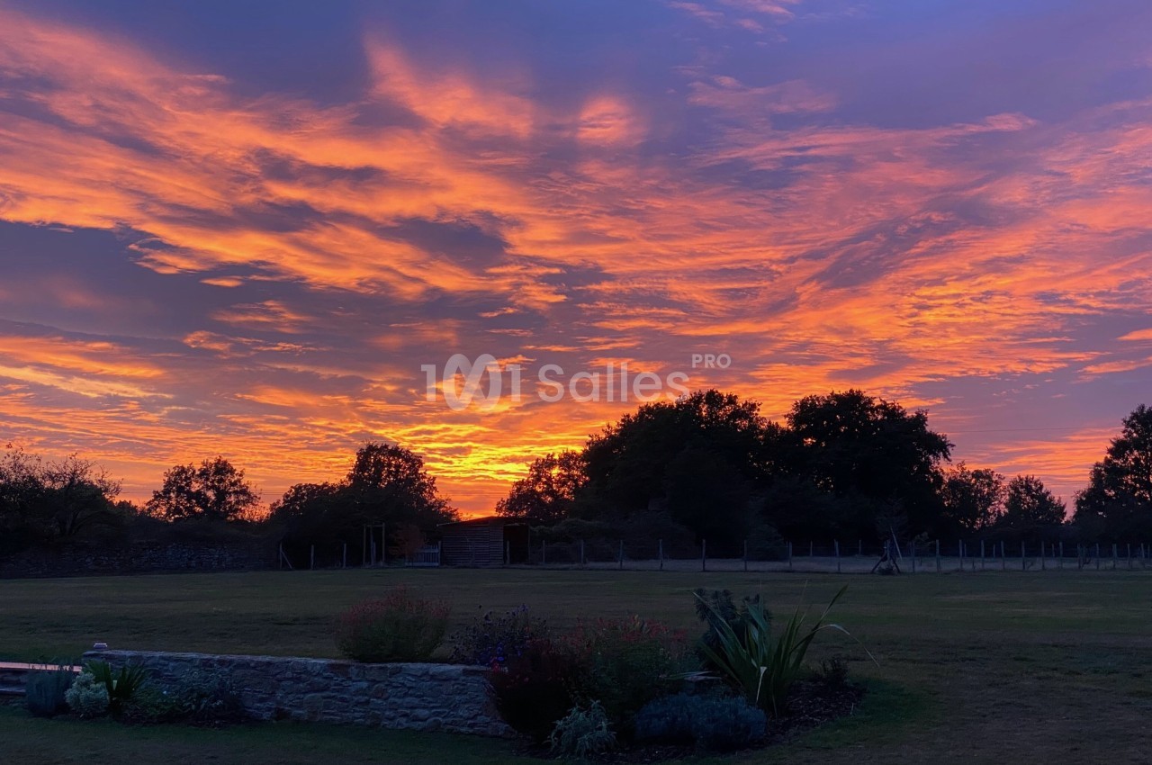 Coucher de soleil aux teintes orange et violette, avec des arbres silhouettés et un jardin au premier plan.
