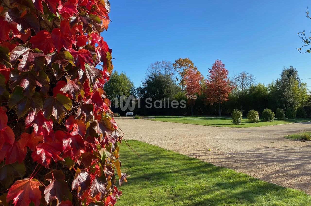 Feuillage rouge vif au premier plan, allée gravillonnée et arbres aux couleurs automnales sous un ciel bleu en arrière-plan.