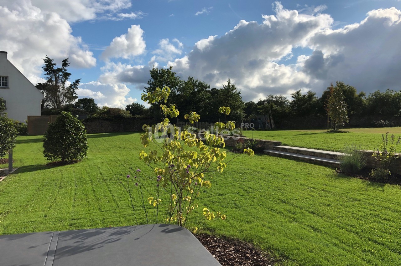 Jardin verdoyant avec pelouse, arbustes et arbres sous un ciel partiellement nuageux, près d'une maison blanche.