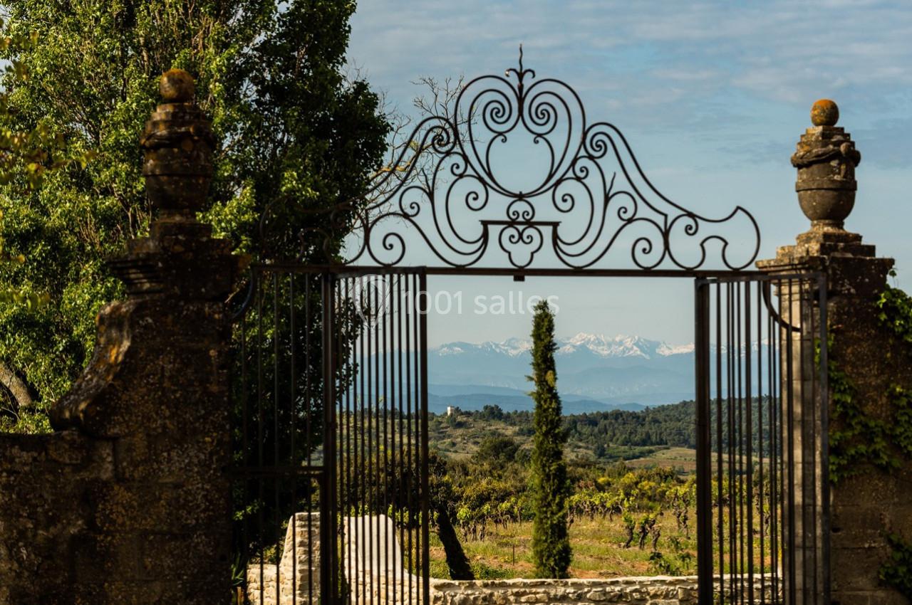 Portail en fer forgé ouvrant sur un paysage de vignes, avec des montagnes enneigées visibles à l'horizon.