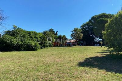 Miniature Location salle Cuers (Var) - Domaine Mas des Palmiers #5 Terrain de pétanque ensoleillé entouré d'arbres et de végétation dans un jardin.