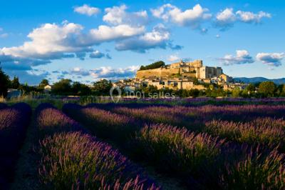 Miniature Location salle Grignan (Drôme) - Les Maisons du Clair de la Plume #1 Location salle Grignan (Drôme) - Les Maisons du Clair de la Plume #13