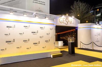 Espace salon moderne avec fauteuils verts, tables basses en bois, tapis rond clair, plantes et décorations murales.