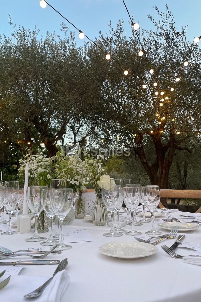 Table dressée en extérieur sous des guirlandes lumineuses, entourée d'oliviers, avec vaisselle et décoration florale.