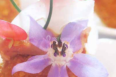 Charme et Saveurs - photo 2