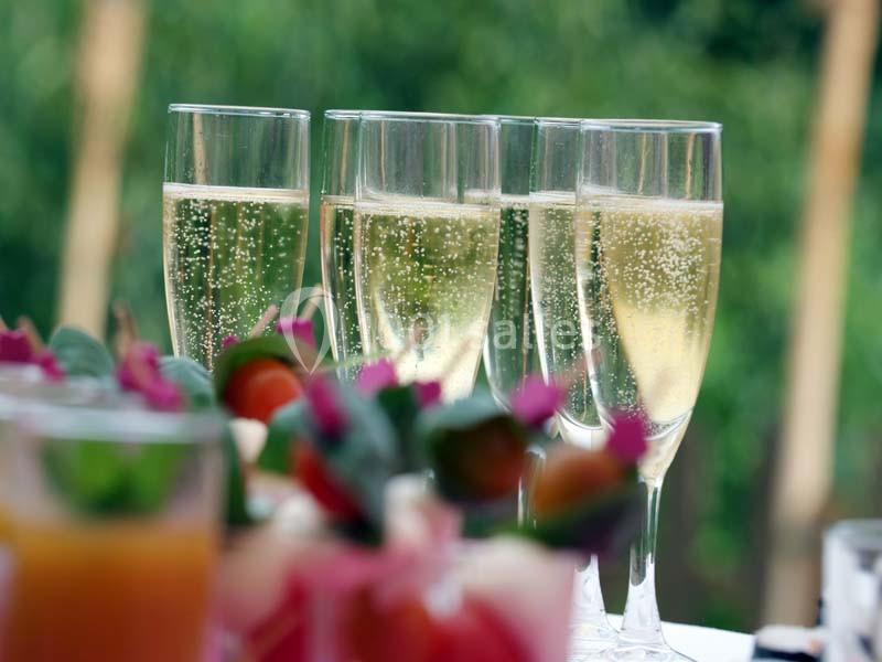 Quatre flûtes de champagne pétillant posées sur une table, entourées d'amuse-bouches et de verdure en arrière-plan.