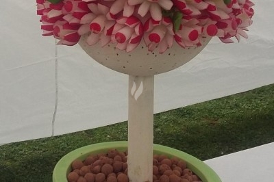 Miniature Traiteur Marles-en-Brie (Seine-et-Marne) - Eclat des Saveurs #47 Assiette composée de foie gras, gelée, pain brioché, tranches d'orange, groseilles, jeunes pousses et graines noires.