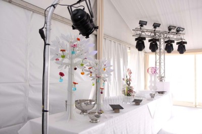 Miniature Traiteur Comines (Nord) - France Evenement Traiteur #11 Assiette gastronomique composée de viande en sauce, légumes variés, samoussa et décoration raffinée.