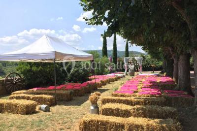 Miniature Location salle Pouilly-le-Monial (Rhône) - Domaine des Coteaux d'Or #25 Montgolfière verte posée sur un chemin de terre entouré de végétation sous un ciel nuageux.