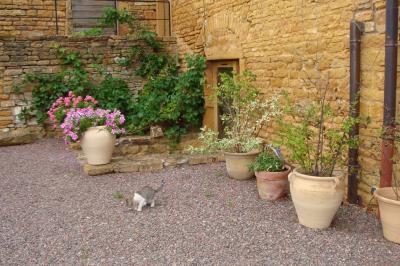 Miniature Location salle Pouilly-le-Monial (Rhône) - Domaine des Coteaux d'Or #33 Montgolfière verte posée sur un chemin de terre entouré de végétation sous un ciel nuageux.