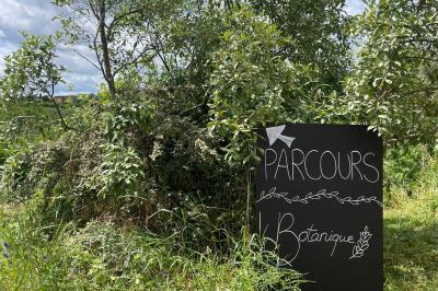Miniature Location salle Pouilly-le-Monial (Rhône) - Domaine des Coteaux d'Or #38 Montgolfière verte posée sur un chemin de terre entouré de végétation sous un ciel nuageux.