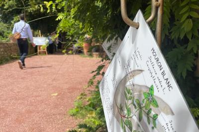 Miniature Location salle Pouilly-le-Monial (Rhône) - Domaine des Coteaux d'Or #40 Montgolfière verte posée sur un chemin de terre entouré de végétation sous un ciel nuageux.