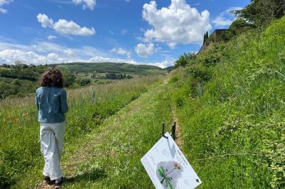 Miniature Location salle Pouilly-le-Monial (Rhône) - Domaine des Coteaux d'Or #39 Montgolfière verte posée sur un chemin de terre entouré de végétation sous un ciel nuageux.