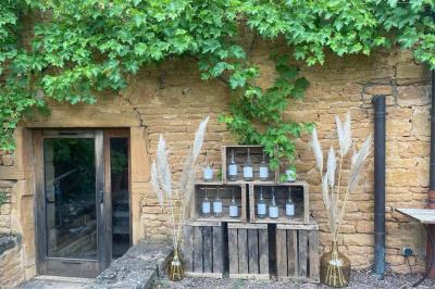 Miniature Location salle Pouilly-le-Monial (Rhône) - Domaine des Coteaux d'Or #35 Montgolfière verte posée sur un chemin de terre entouré de végétation sous un ciel nuageux.