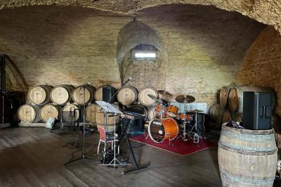 Miniature Location salle Pouilly-le-Monial (Rhône) - Domaine des Coteaux d'Or #19 Montgolfière verte posée sur un chemin de terre entouré de végétation sous un ciel nuageux.