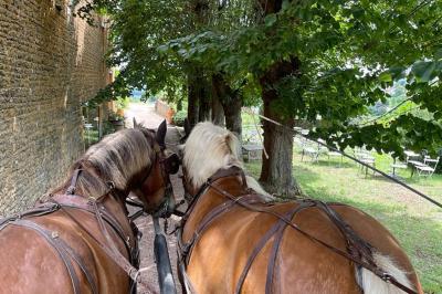 Miniature Location salle Pouilly-le-Monial (Rhône) - Domaine des Coteaux d'Or #49 Montgolfière verte posée sur un chemin de terre entouré de végétation sous un ciel nuageux.