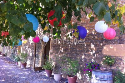 Miniature Location salle Pouilly-le-Monial (Rhône) - Domaine des Coteaux d'Or #11 Montgolfière verte posée sur un chemin de terre entouré de végétation sous un ciel nuageux.