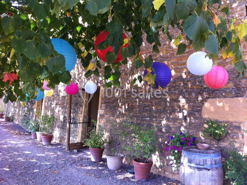 Guirlandes de lanternes colorées suspendues à un arbre devant un mur en pierre avec des pots de fleurs alignés.